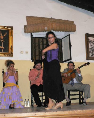 68- Danseuse de Flamenco 